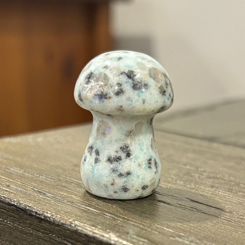 Kiwi Jasper Mushroom Crystal